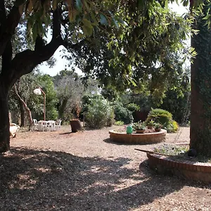 Casale Con Accesso Mare, Grande Giardino E Basket Rosignano Marittimo