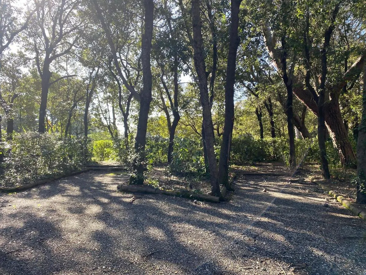 Appartamenti Sul Mare Villa Il Fortullino Rosignano Marittimo 0*,  Italy